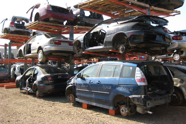 Yard view of ToyAuto Mart used auto parts store and salvage yard